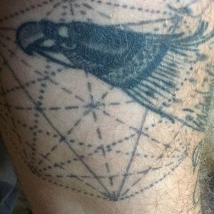 Meet your Posher, Jeff